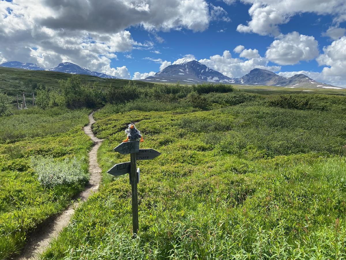 Kungsleden 2024 – Die Idee und die Planung