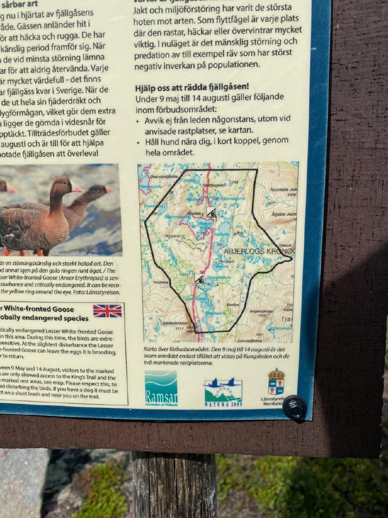Wildcampen verboten