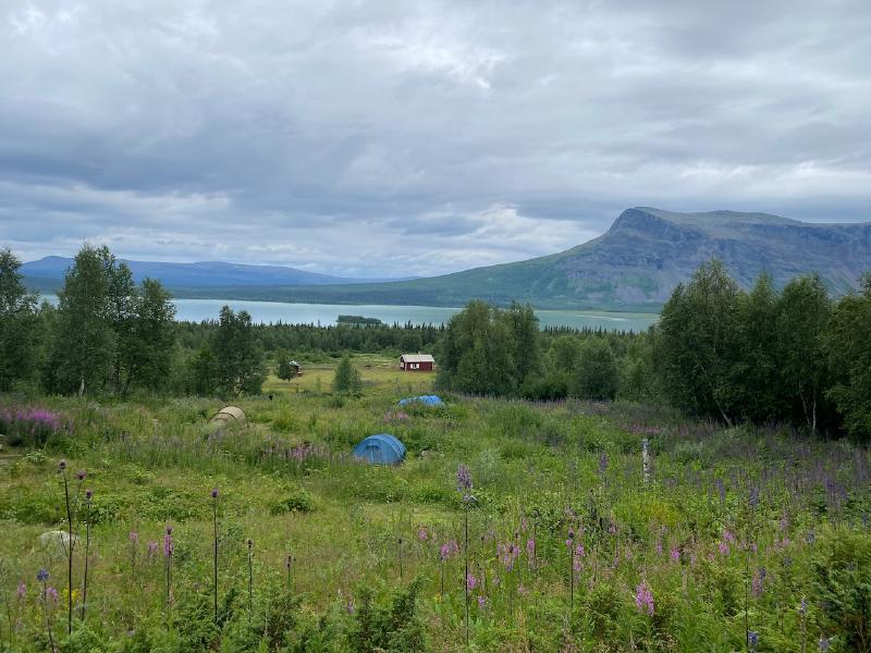 Aktse