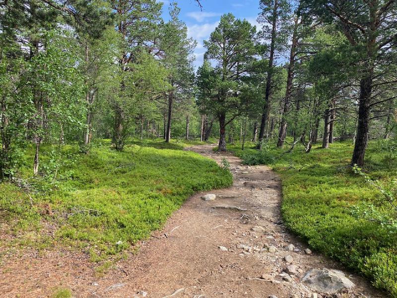 Weg nach Saltoluokta