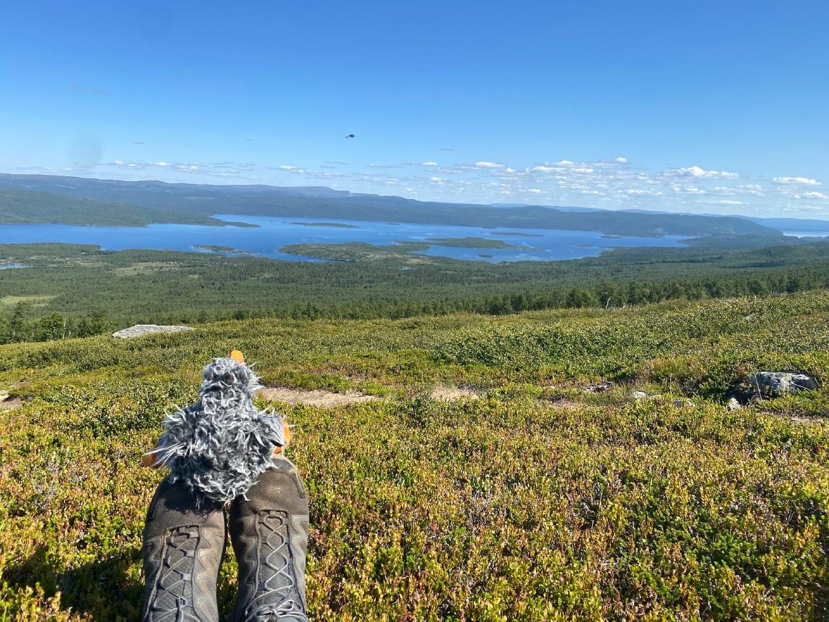 Nordkalottleden 2026: Schuhe